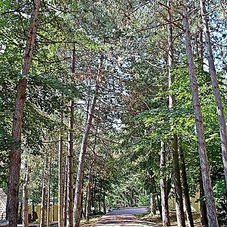 Duni Village Dyuni
